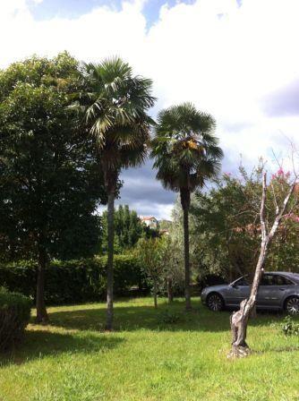 casa indipendente in vendita a Bolano