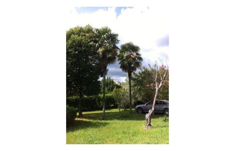 casa indipendente in vendita a Bolano