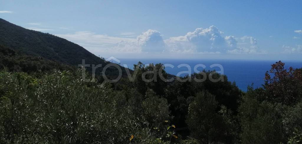 casa indipendente in vendita a Bonassola in zona San Giorgio