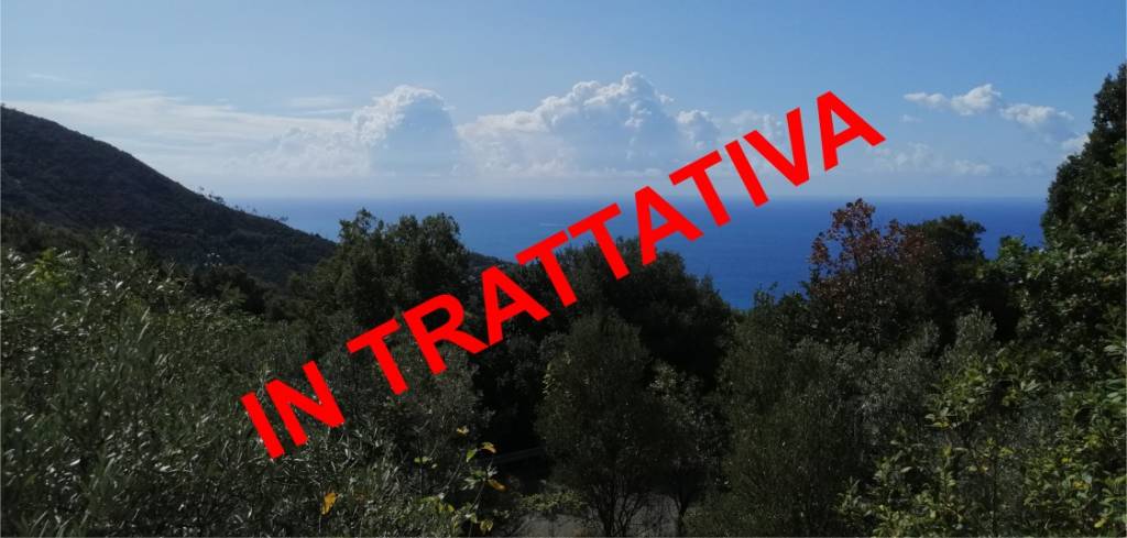 casa indipendente in vendita a Bonassola in zona San Giorgio
