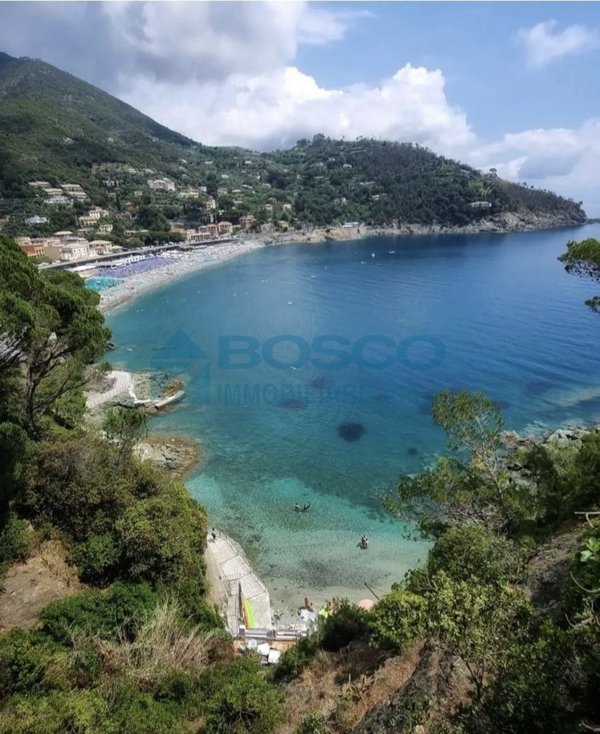 immagine annuncio 0 di 15