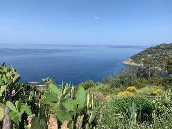 casa indipendente in vendita a Bonassola