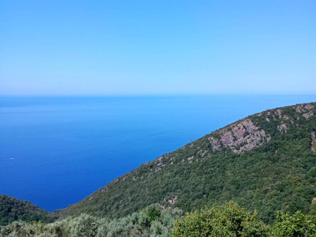 casa indipendente in vendita a Bonassola in zona Reggimonti