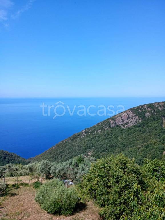 casa indipendente in vendita a Bonassola in zona Reggimonti