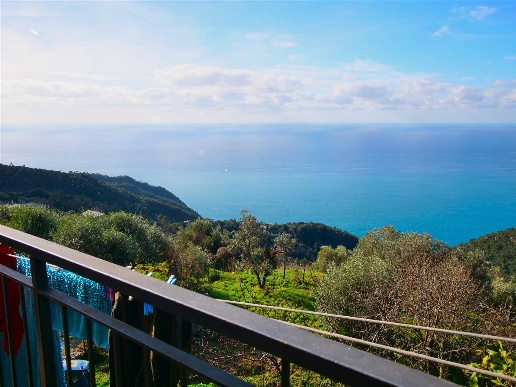 esavano in vendita a Bonassola in zona Reggimonti