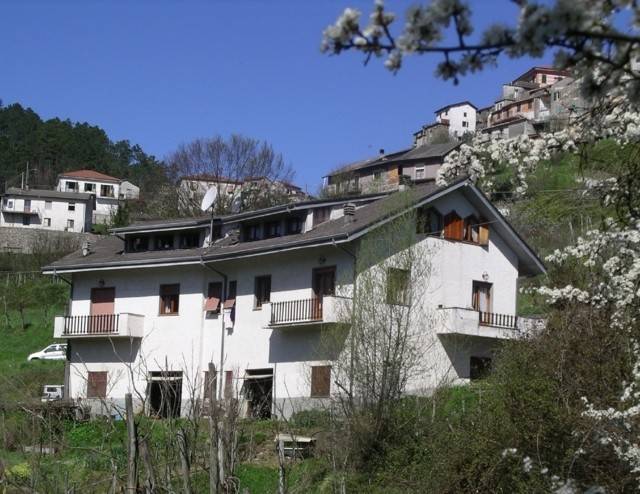 casa indipendente in vendita a Borghetto di Vara in zona Cassana