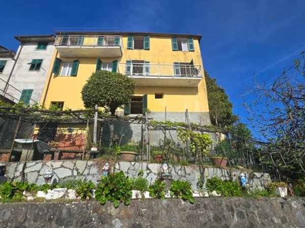 casa semindipendente in vendita a Borghetto di Vara in zona L'Ago