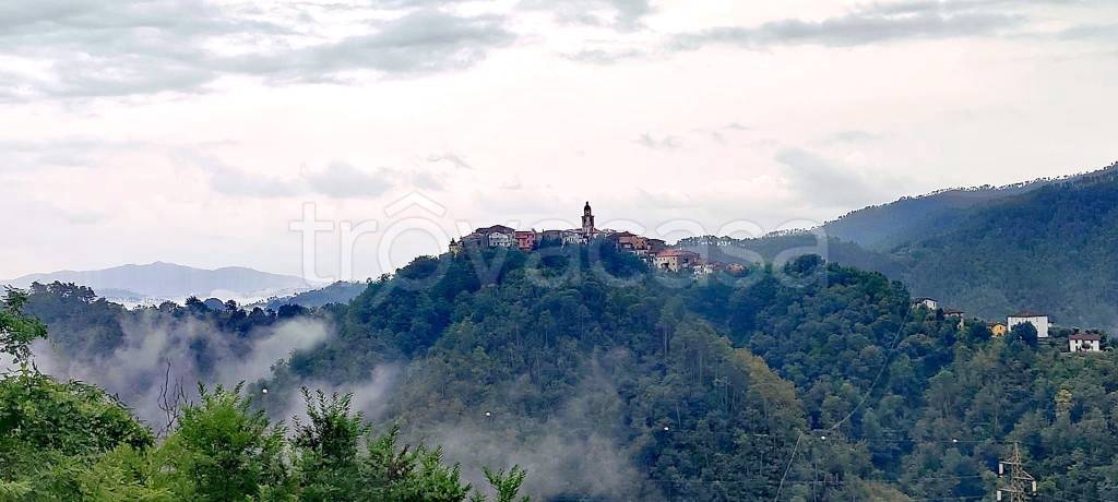 casa indipendente in vendita a Borghetto di Vara in zona L'Ago