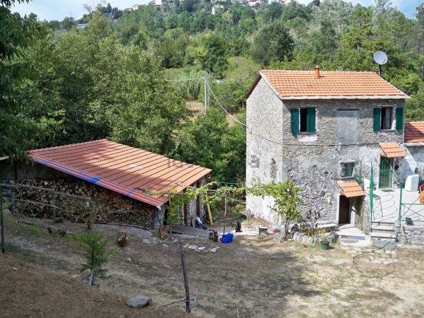 esavano in vendita a Borghetto di Vara