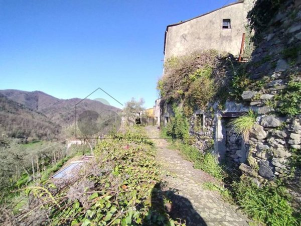 casa indipendente in vendita a Borghetto di Vara in zona L'Ago