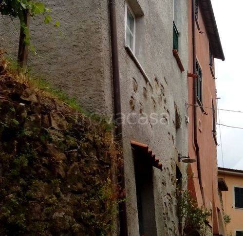 casa indipendente in vendita a Borghetto di Vara in zona Cassana