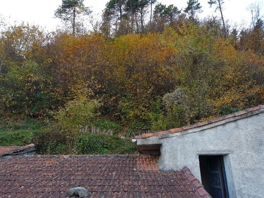 appartamento in vendita a Borghetto di Vara