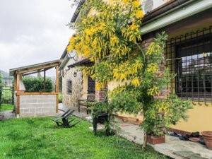casa indipendente in vendita a Borghetto di Vara