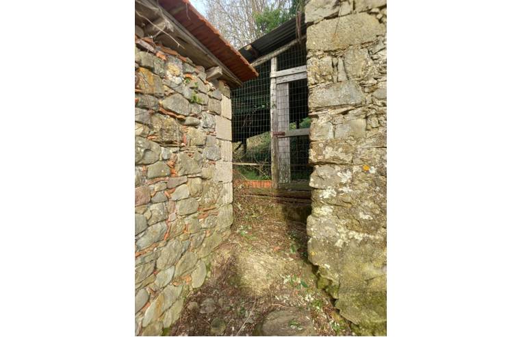 casa indipendente in vendita a Borghetto di Vara in zona Ripalta