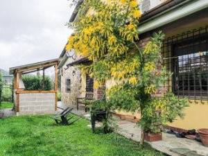 casa indipendente in vendita a Borghetto di Vara