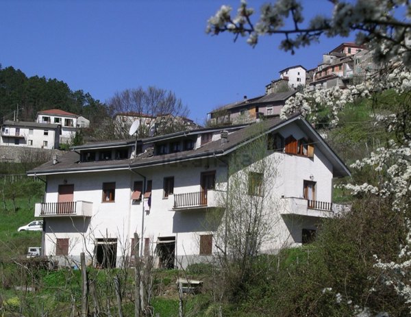 casa indipendente in vendita a Borghetto di Vara in zona Cassana
