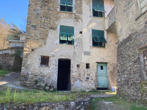 casa indipendente in vendita a Borghetto di Vara in zona Ripalta