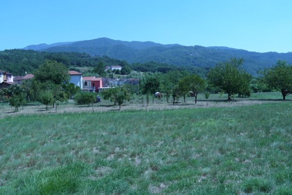 esavano in vendita a Brugnato