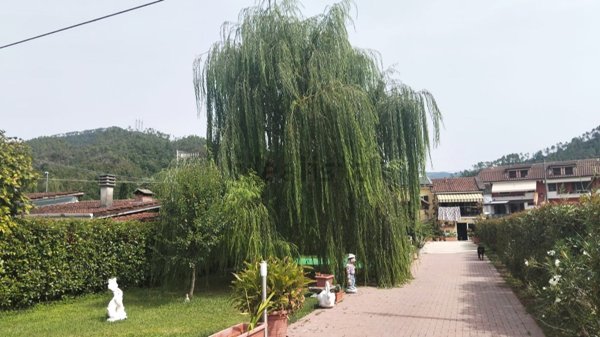 casa indipendente in vendita a Brugnato
