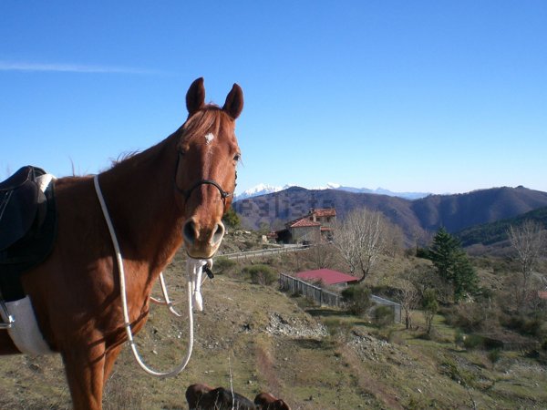 casale in vendita a Calice al Cornoviglio