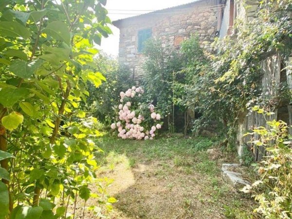 pentavano in vendita a Calice al Cornoviglio in zona Santa Maria
