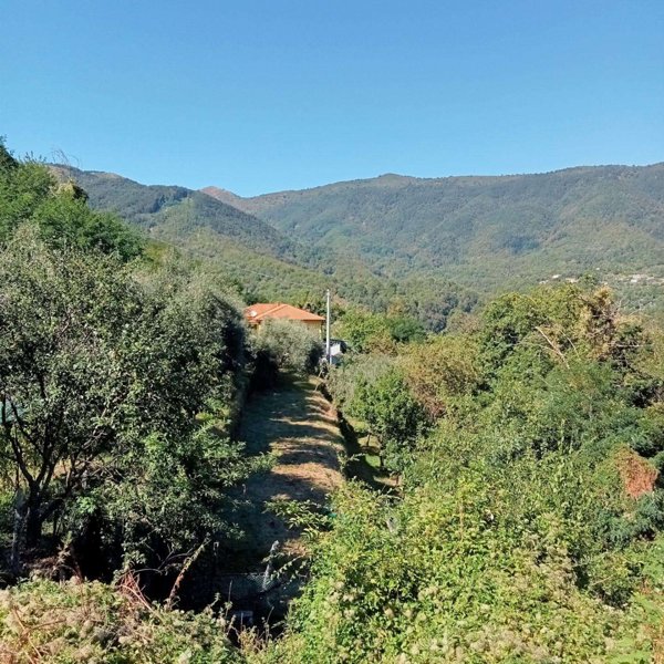 casa indipendente in vendita a Calice al Cornoviglio in zona Borseda