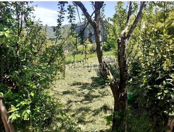 appartamento in vendita a Calice al Cornoviglio in zona Borseda