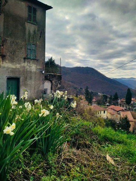 casa indipendente in vendita a Calice al Cornoviglio in zona Santa Maria