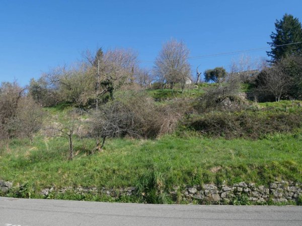 terreno agricolo in vendita a Carro