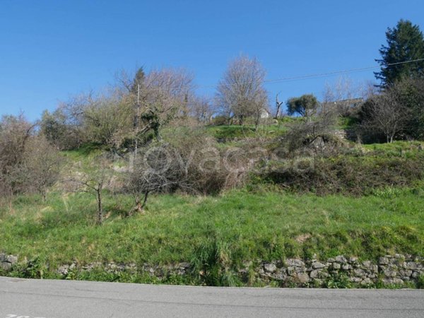 terreno agricolo in vendita a Carro