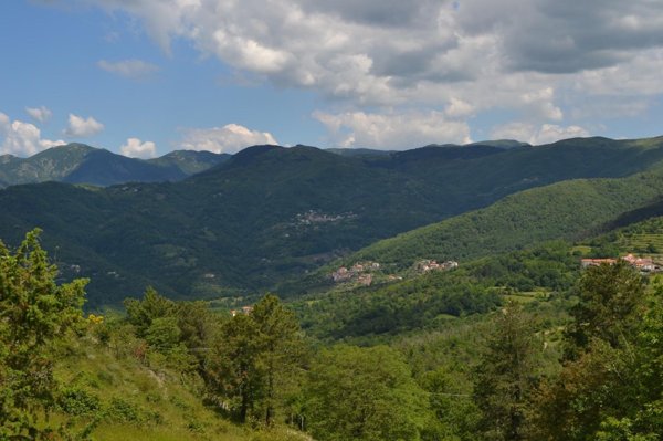 appartamento in vendita a Carro