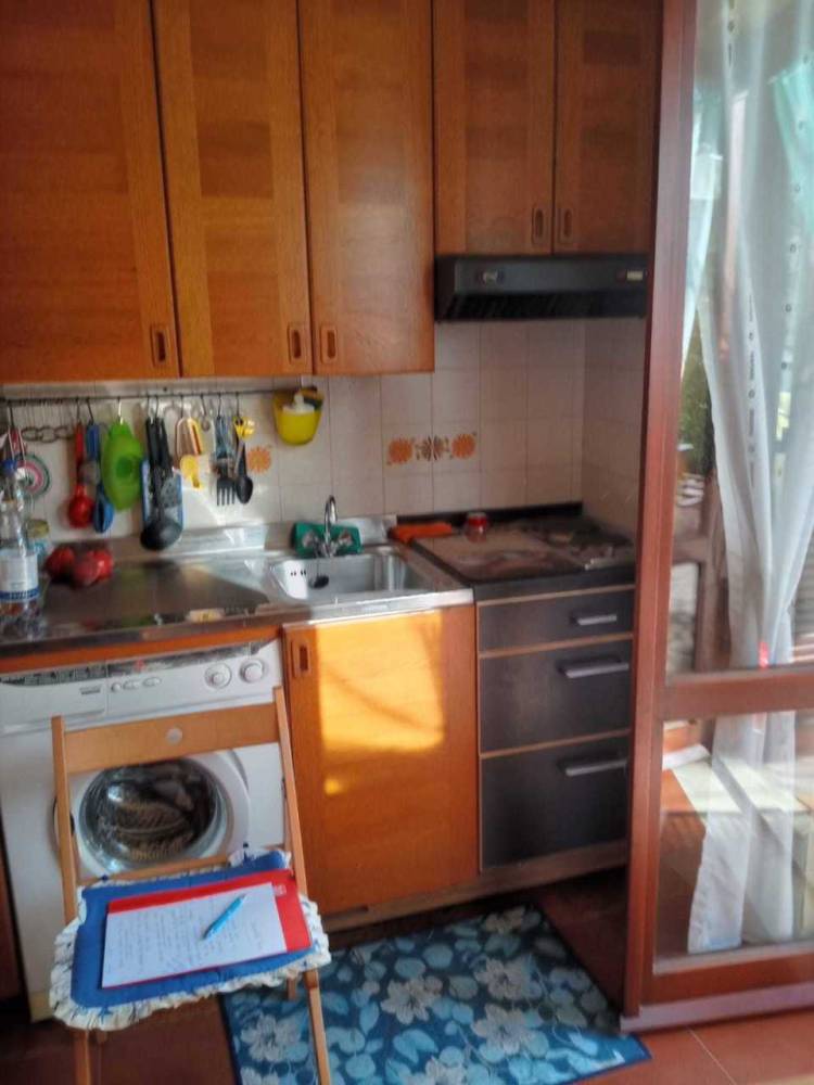 appartamento in vendita a Carro