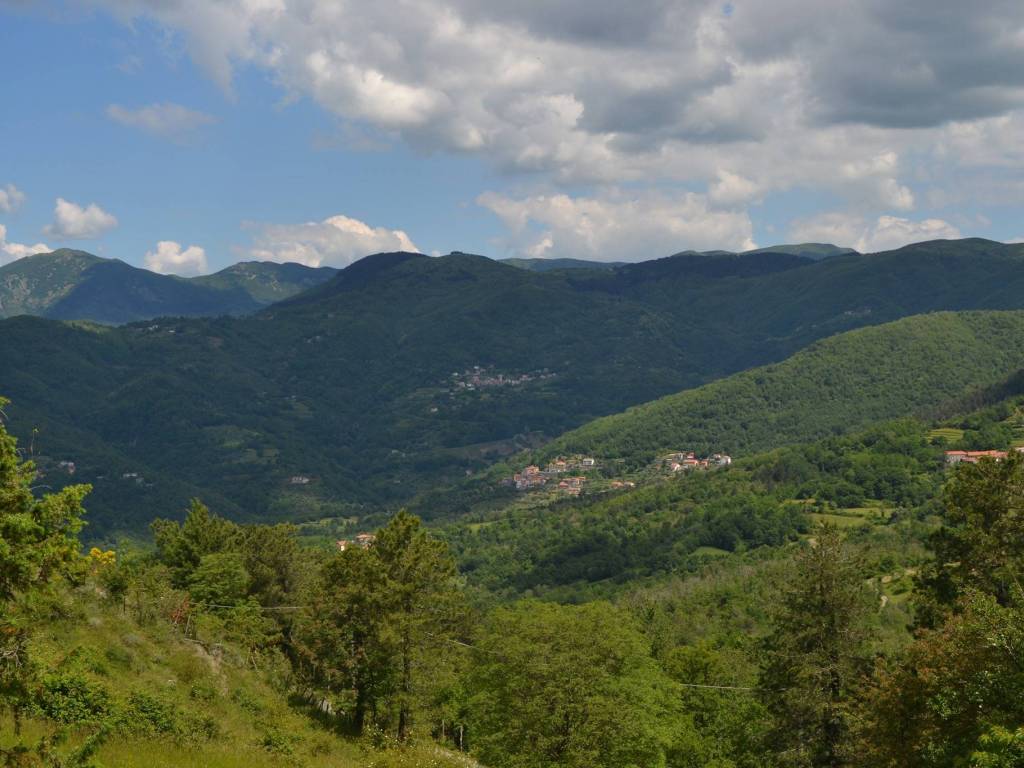 appartamento in vendita a Carro