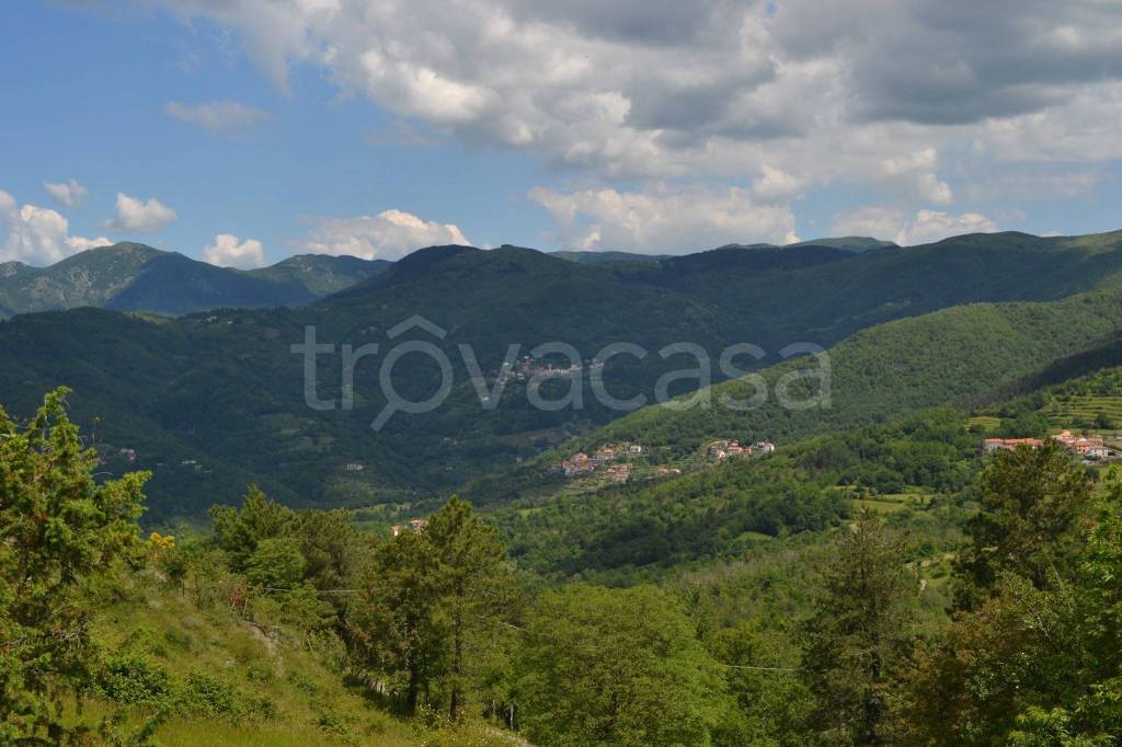 appartamento in vendita a Carro