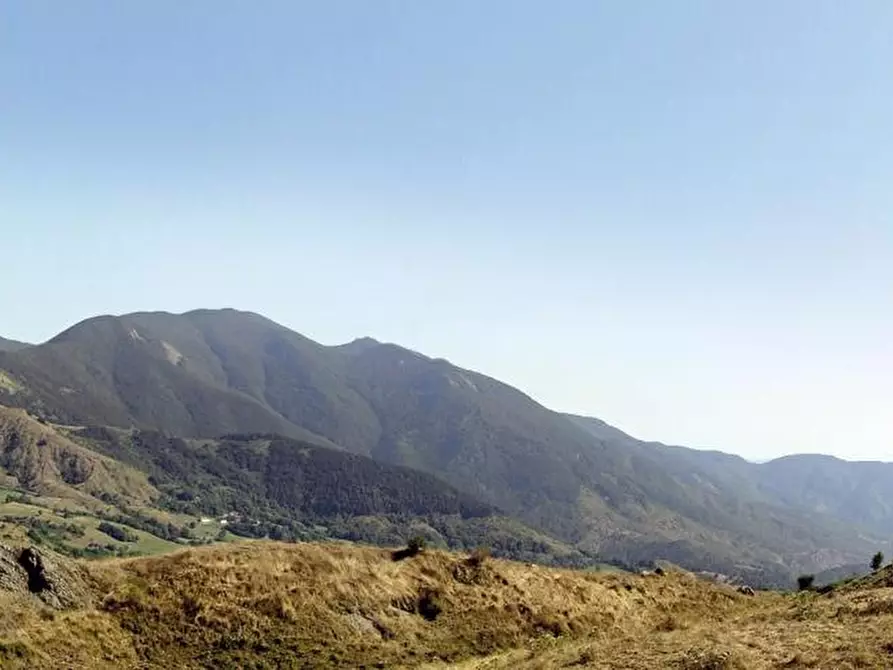 appartamento in vendita a Carro