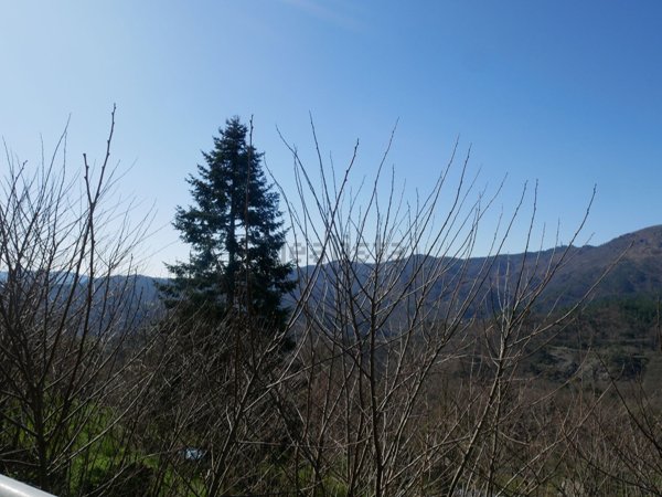 terreno edificabile in vendita a Carro