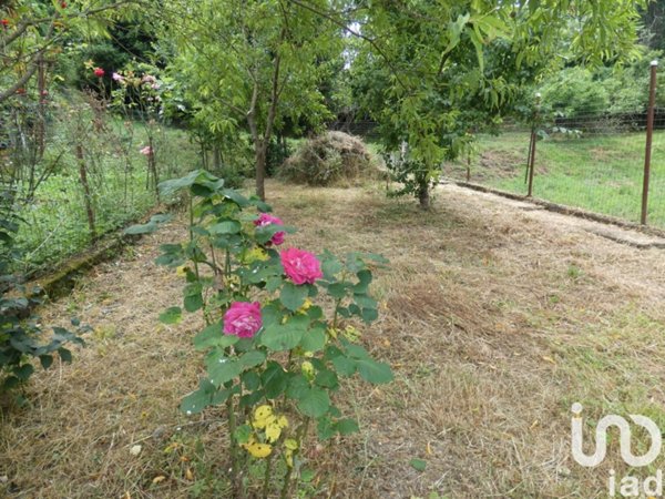 appartamento in vendita a Carro