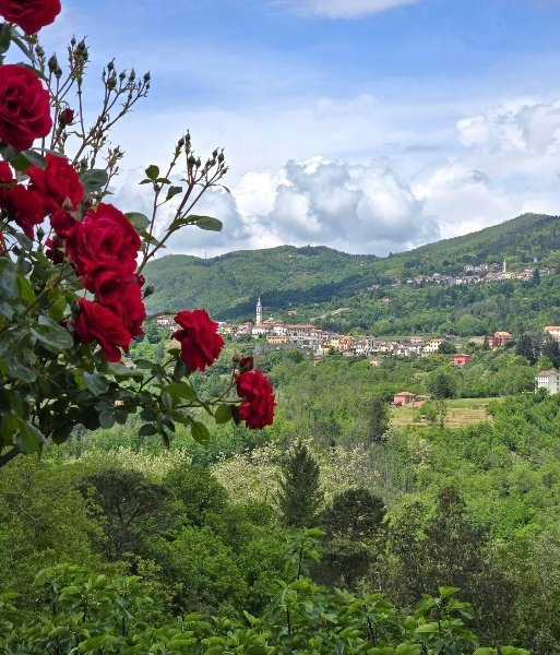 appartamento in vendita a Carro