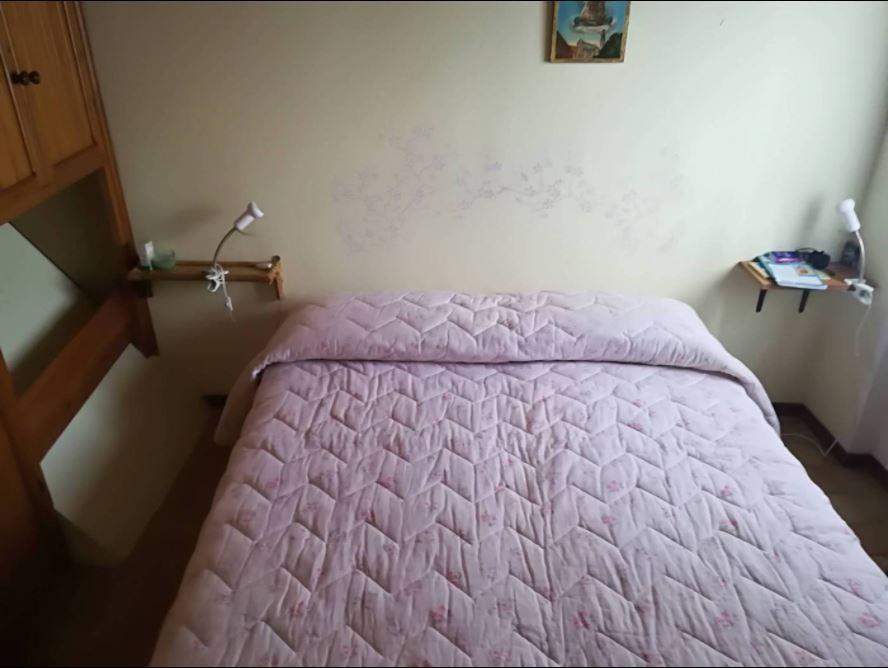 casa indipendente in vendita a Carro