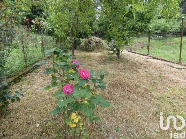 appartamento in vendita a Carro