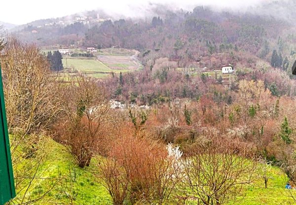 appartamento in vendita a Carro