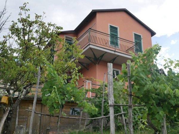 casa indipendente in vendita a Carro