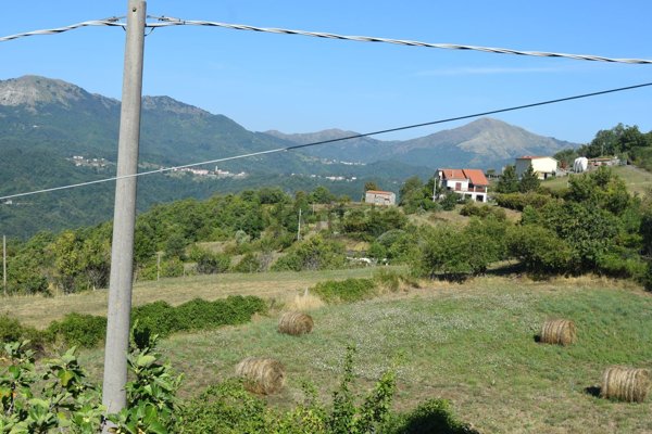 casa indipendente in vendita a Carro