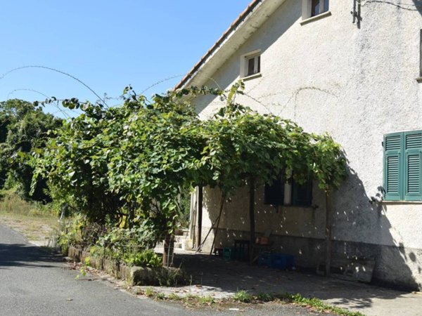 intera palazzina in vendita a Carro