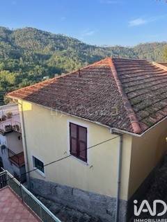 casa indipendente in vendita a Carro