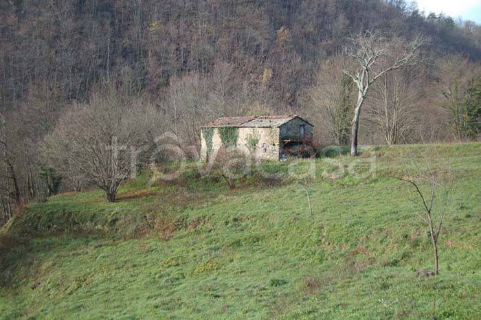 terreno agricolo in vendita a Carrodano