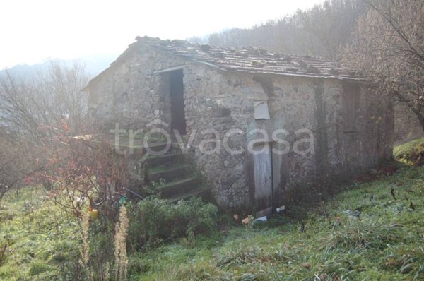 terreno agricolo in vendita a Carrodano