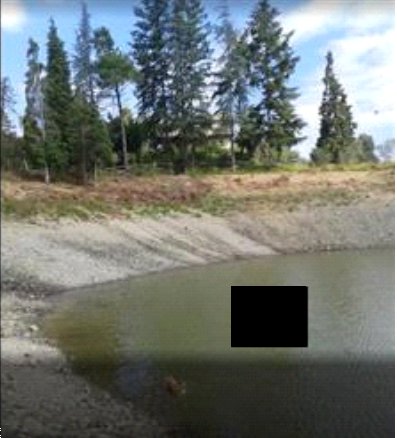 appartamento in vendita a Carrodano