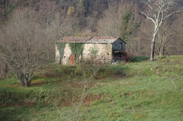 appartamento in vendita a Carrodano