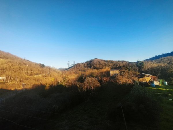 appartamento in vendita a Carrodano